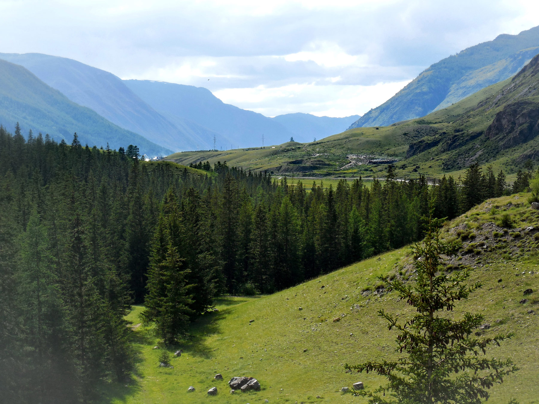 Chuya valley (Чуйская долина)